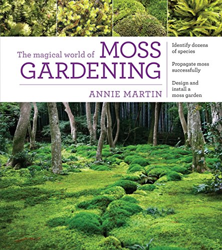 The Magical World of Moss Gardening