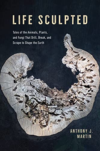 Life Sculpted: Tales of the Animals, Plants, and Fungi That Drill, Break, and Scrape to Shape the Earth von University of Chicago Pr.