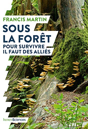 Sous la forêt: Pour survivre il faut des alliés