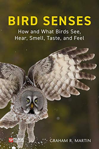 Bird Senses: How What Birds See, Hear: How What Birds See, Hear, Smell, Taste, and Feel (Pelagic Monographs) von Pelagic Publishing Ltd