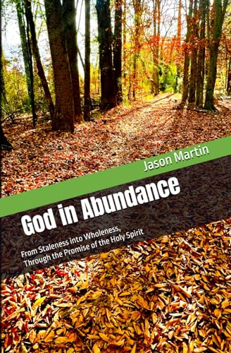 God in Abundance: From Staleness into Wholeness, Through the Promise of the Holy Spirit von Independently published