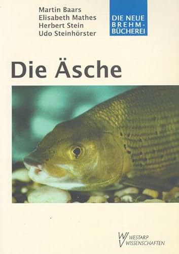 Die Äsche: Thymallus thymallus