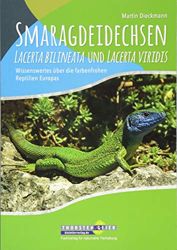 Smaragdeidechsen Lacerta bilineata und Lacerta viridis: Wissenswertes über die farbenfrohen Reptilien Europas von Kleintierverlag.de