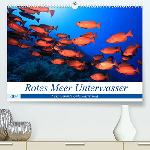 Rotes Meer Unterwasser (hochwertiger Premium Wandkalender 2024 DIN A2 quer), Kunstdruck in Hochglanz