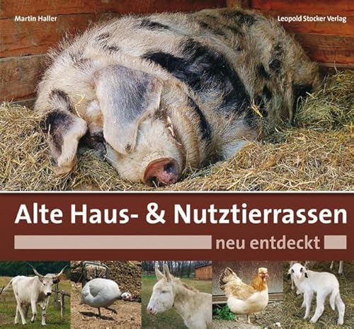 Alte Haus- & Nutztierrassen neu entdeckt von Stocker Leopold Verlag