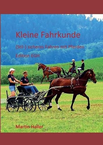 Kleine Fahrkunde: (Stil-) sicheres Fahren mit Pferden