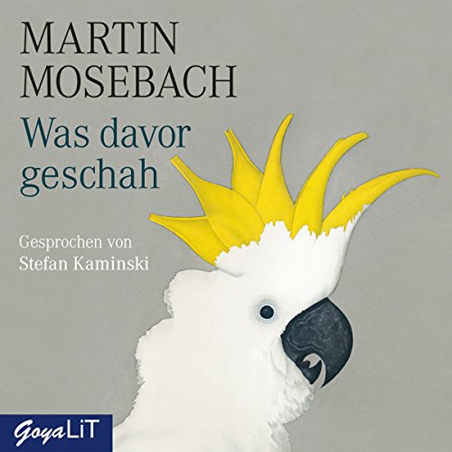 Was davor geschah Was davor geschah