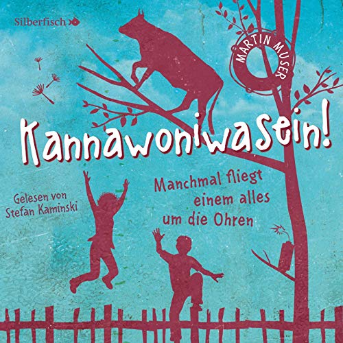 Kannawoniwasein - Manchmal fliegt einem alles um die Ohren: 2 CDs von Silberfisch