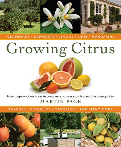 Growing Citrus: The Essential Gardener's Guide von Timber Press