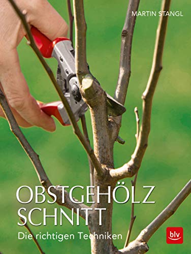 Obstgehölzschnitt: Die richtigen Techniken (BLV Gartenpraxis) Obstgehölzschnitt: Die richtigen Techniken (BLV Gartenpraxis) von Gräfe und Unzer
