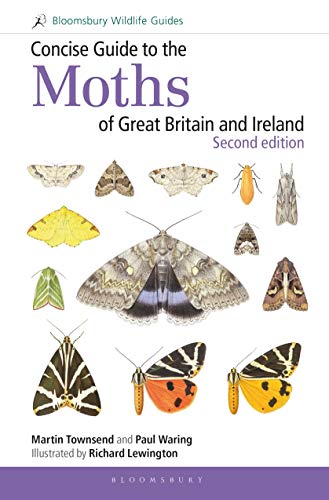 Concise Guide to the Moths of Great Britain and Ireland: Second edition von Bloomsbury Wildlife