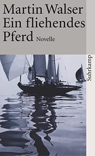 Ein fliehendes Pferd: Novelle (suhrkamp taschenbuch)