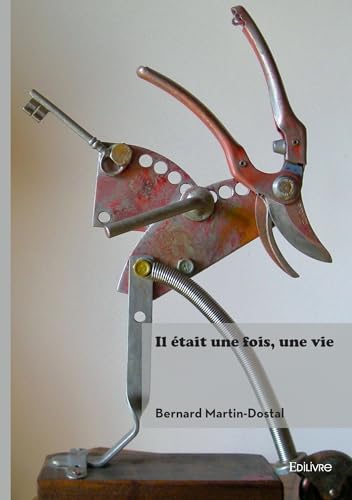 Il était une fois, une vie von Édilivre