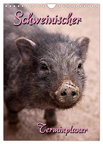 Schweinischer Terminplaner (Wandkalender 2025 DIN A4 hoch), CALVENDO Monatskalender von CALVENDO