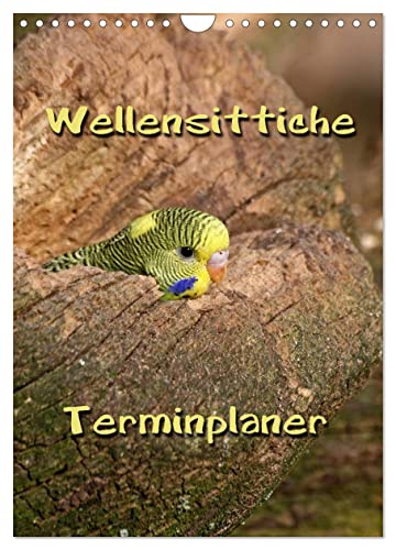 Wellensittiche Terminplaner (Wandkalender 2025 DIN A4 hoch), CALVENDO Monatskalender von CALVENDO