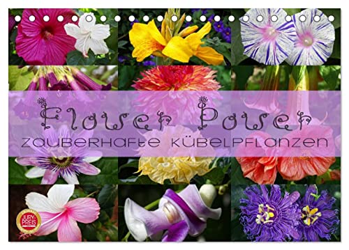 Flower Power - Zauberhafte Kübelpflanzen (Tischkalender 2025 DIN A5 quer), CALVENDO Monatskalender von CALVENDO