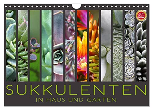Sukkulenten in Haus und Garten (Wandkalender 2025 DIN A4 quer), CALVENDO Monatskalender von CALVENDO