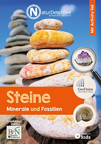 Steine, Minerale & Fossilien: Mit Activity-Teil (Naturdetektive: Wissen und Beschäftigung für kleine Naturforscher ab 6 Jahren)