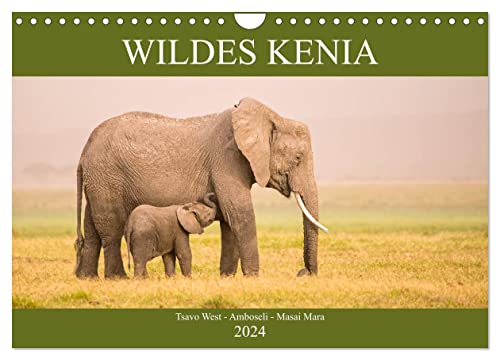 Wildes Kenia (Wandkalender 2024 DIN A4 quer), CALVENDO Monatskalender von CALVENDO