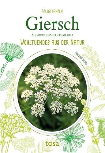 Giersch: Wohltuendes aus der Natur