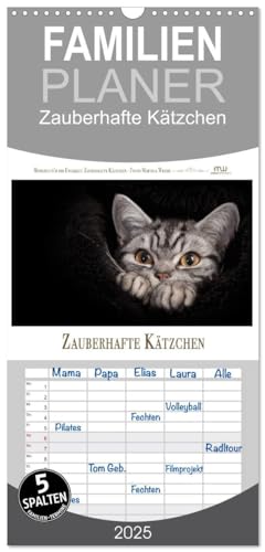 Familienplaner 2025 - Zauberhafte Kätzchen mit 5 Spalten (Wandkalender, 21 cm x 45 cm), CALVENDO von CALVENDO