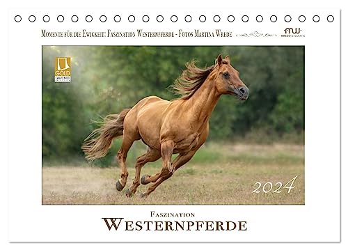 Faszination Westernpferde (Tischkalender 2024 DIN A5 quer), CALVENDO Monatskalender von CALVENDO