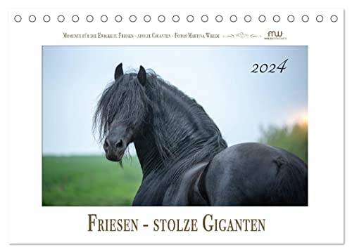 Friesen - stolze Giganten (Tischkalender 2024 DIN A5 quer), CALVENDO Monatskalender von CALVENDO