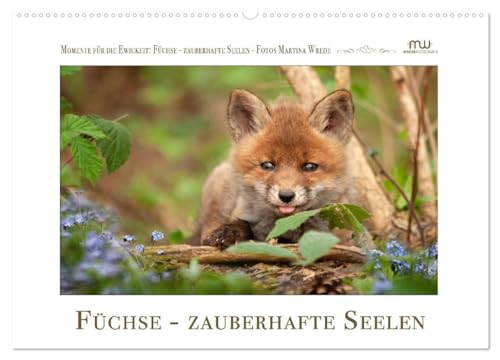 Füchse - zauberhafte Seelen (Wandkalender 2024 DIN A2 quer), CALVENDO Monatskalender: Füchse - beeindruckende Bilder begleiten Sie durch das Jahr (CALVENDO Tiere)