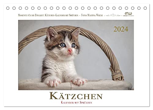 Kätzchen-Kalender mit Sprüchen (Tischkalender 2024 DIN A5 quer), CALVENDO Monatskalender