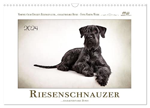 Riesenschnauzer... charakterstarke Hunde (Wandkalender 2024 DIN A3 quer), CALVENDO Monatskalender von CALVENDO