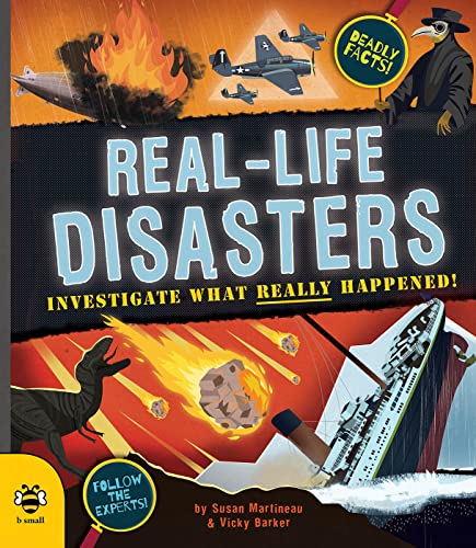 Real-life Disasters: Investigate what really happened! (Real Life Book 2): 1 von b small publishing limited