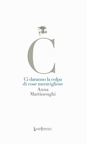 Ci daranno la colpa di cose meravigliose (La coda dell'occhio) von LuoghInteriori