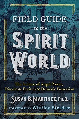 Field Guide to the Spirit World: The Science of Angel Power, Discarnate Entities, and Demonic Possession von Bear & Company
