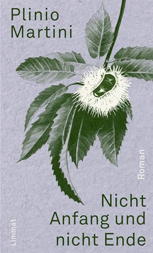 Nicht Anfang und nicht Ende: Roman: Roman einer Rückkehr von Limmat Verlag