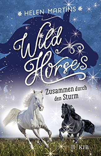 Wild Horses - Zusammen durch den Sturm: Die romantische Pferdebuchreihe für Kinder ab 10 Jahren