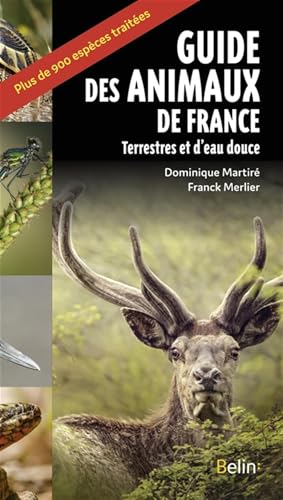 Guide des animaux de France: Terrestres et eau douce von BELIN