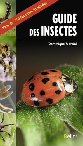 Le guide des insectes von BELIN