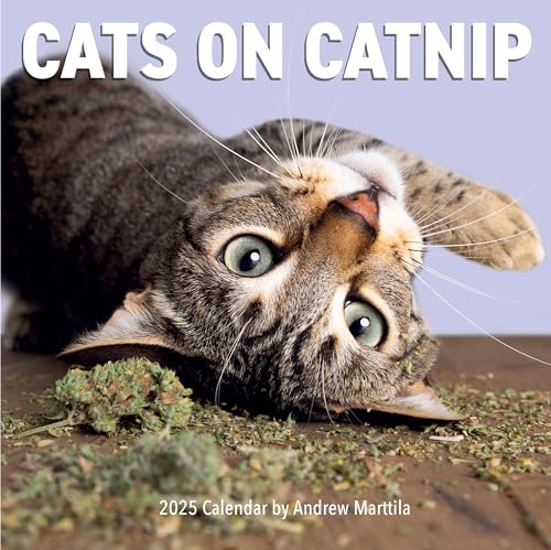 Cats on Catnip Wall Calendar 2025
