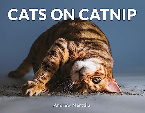 Cats on Catnip von Robinson