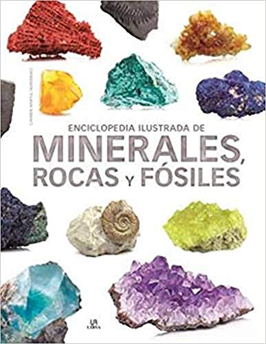Enciclopedia Ilustrada de Minerales, Rocas y Fósiles (Grandes Enciclopedias, Band 13)