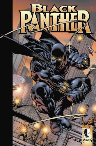 Black Panther (Marvel Knights): Enemy of the State