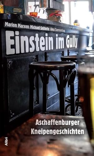 Einstein im Gully: Aschaffenburger Kneipengeschichten