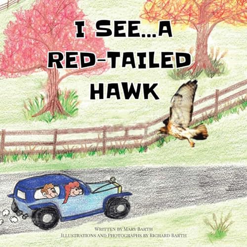 I See... A Red-Tailed Hawk von Gotham Books