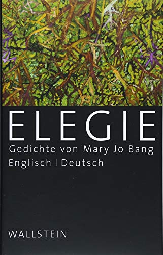 Elegie: Gedichte von Wallstein Verlag GmbH