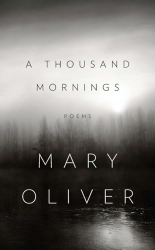 A Thousand Mornings A Thousand Mornings