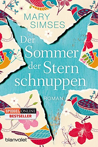 Der Sommer der Sternschnuppen: Roman von Blanvalet