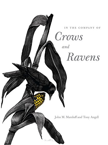 In the Company of Crows and Ravens von Yale University Press