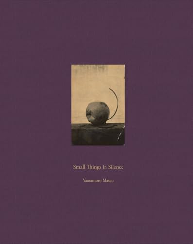 Small Things in Silence Third Edition von Rm