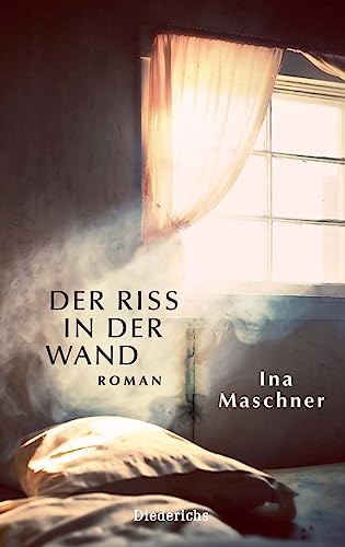 Der Riss in der Wand: Roman von Diederichs