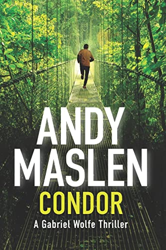 Condor (The Gabriel Wolfe Thrillers, Band 3)